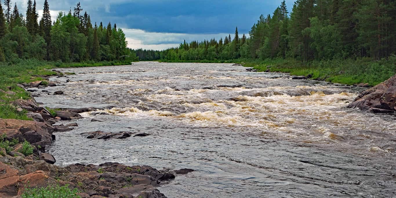 Råneälvens Norra Kortfiskeområde