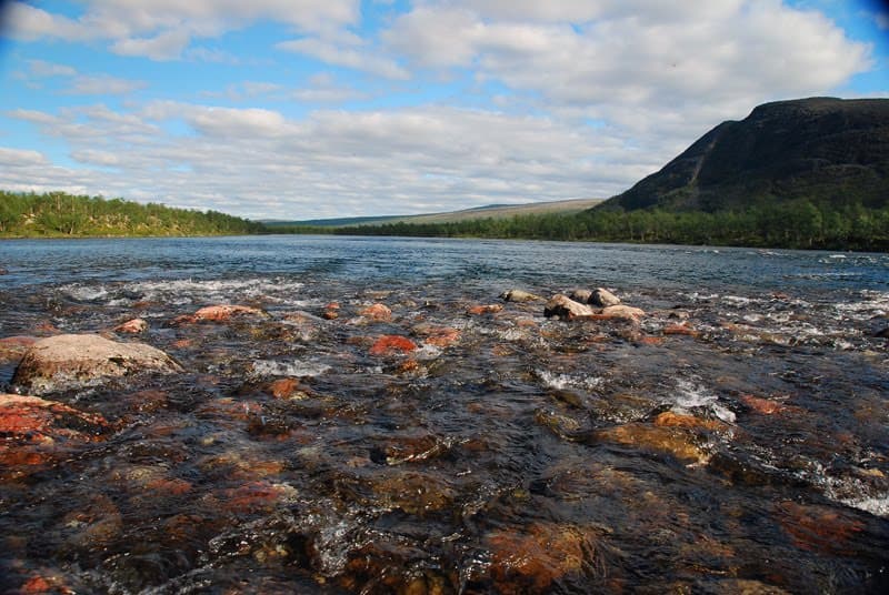Kaitumälven