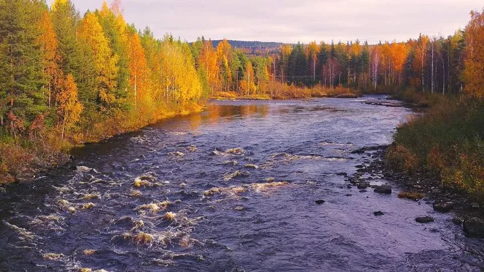Råneälven