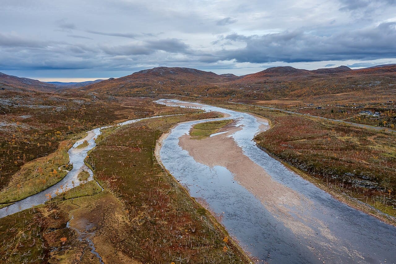 Migration — Repparfjordelva