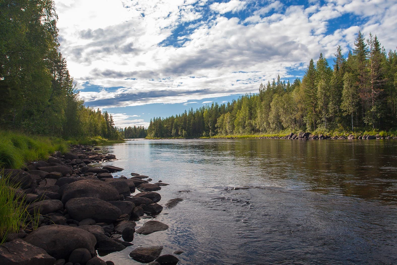 Byskeälven and salmon habitat restoration: what happened on the river?